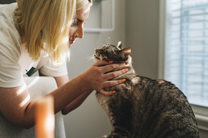 Study Veterinary Medicine in Europe in English